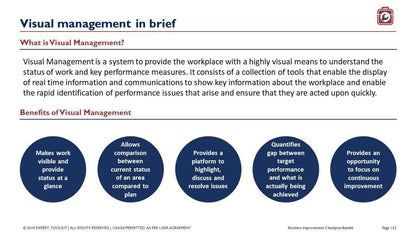 A slide titled "Visual management in brief" from the product "The Business Improvement Champion" by Purchase Only | No Online Access explores how visual management and its benefits—like using the 5S Method to enhance work visibility, facilitating performance comparison, offering data for improvement initiatives, quantifying performance gaps, and promoting continuous improvement—play a crucial role.